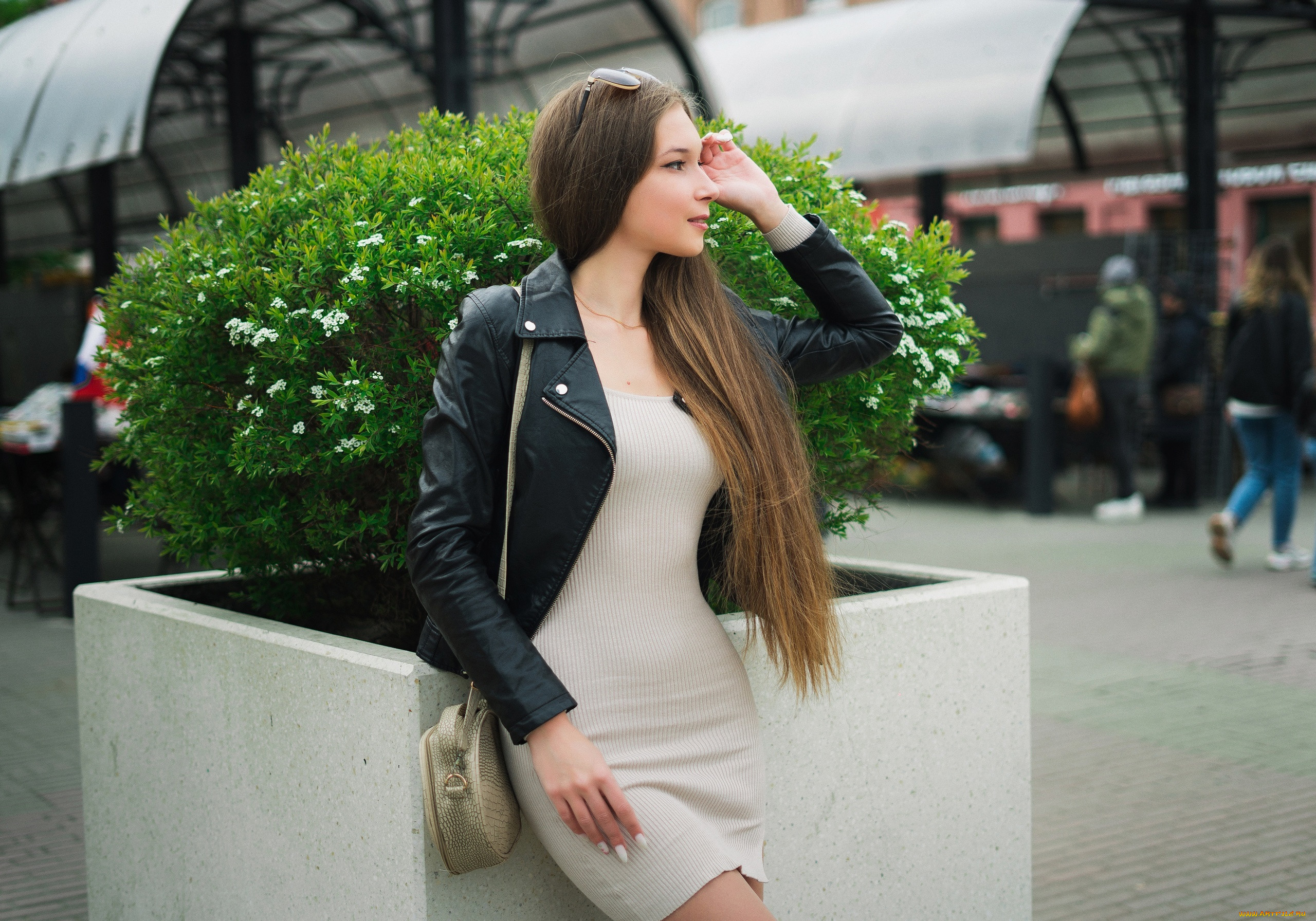 , - ,  , , , , 